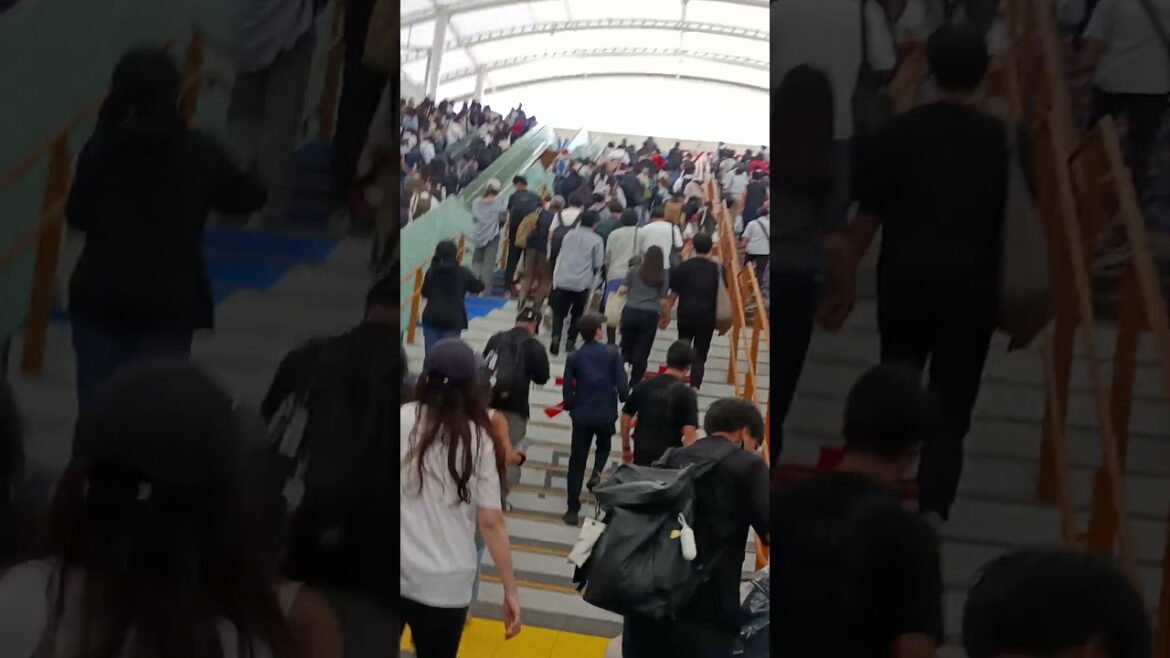 閉幕直前の大阪万博　 #大阪万博 　 #夢洲　 #旅行