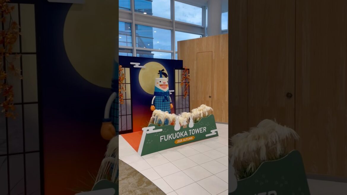 Travel Vlog: A Rainy Journey Through Fukuoka Tower and Coastal Wonders