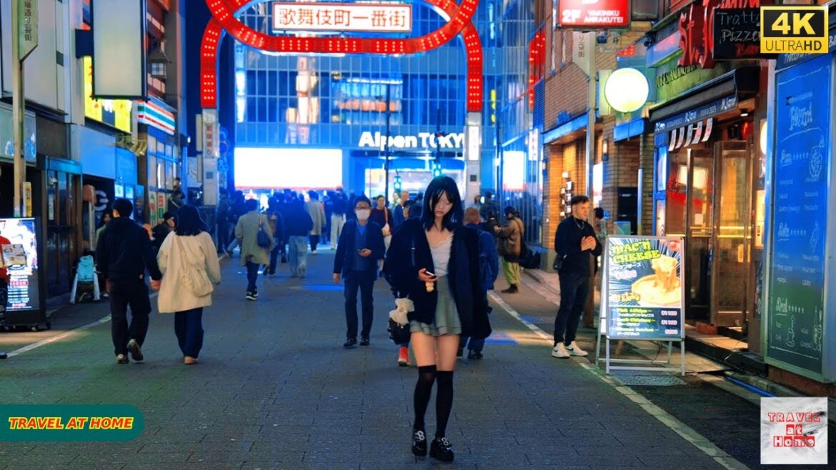 4K HDR Japan travel 2025 | Walk in Shinjuku（新宿）Tokyo Japan |Relaxing Natural City ambience