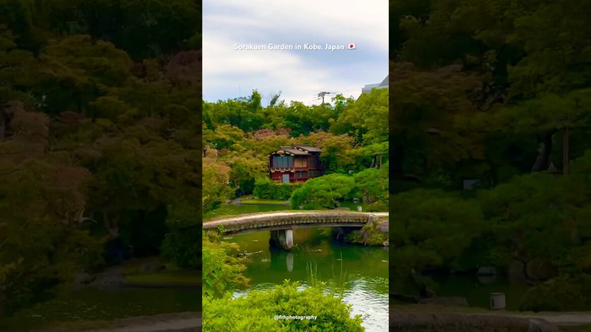Serenity vibes 🇯🇵 #japan #kobe #kobejapan #sorakuen #garden #relax #chill #meditationmusic #nature