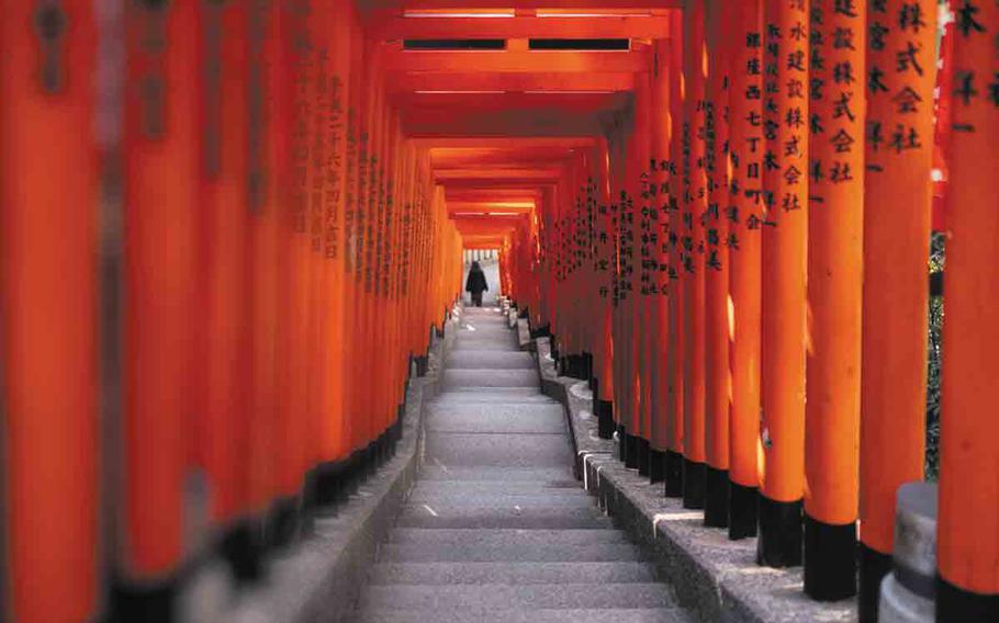 Torii gates at Hie Shrine