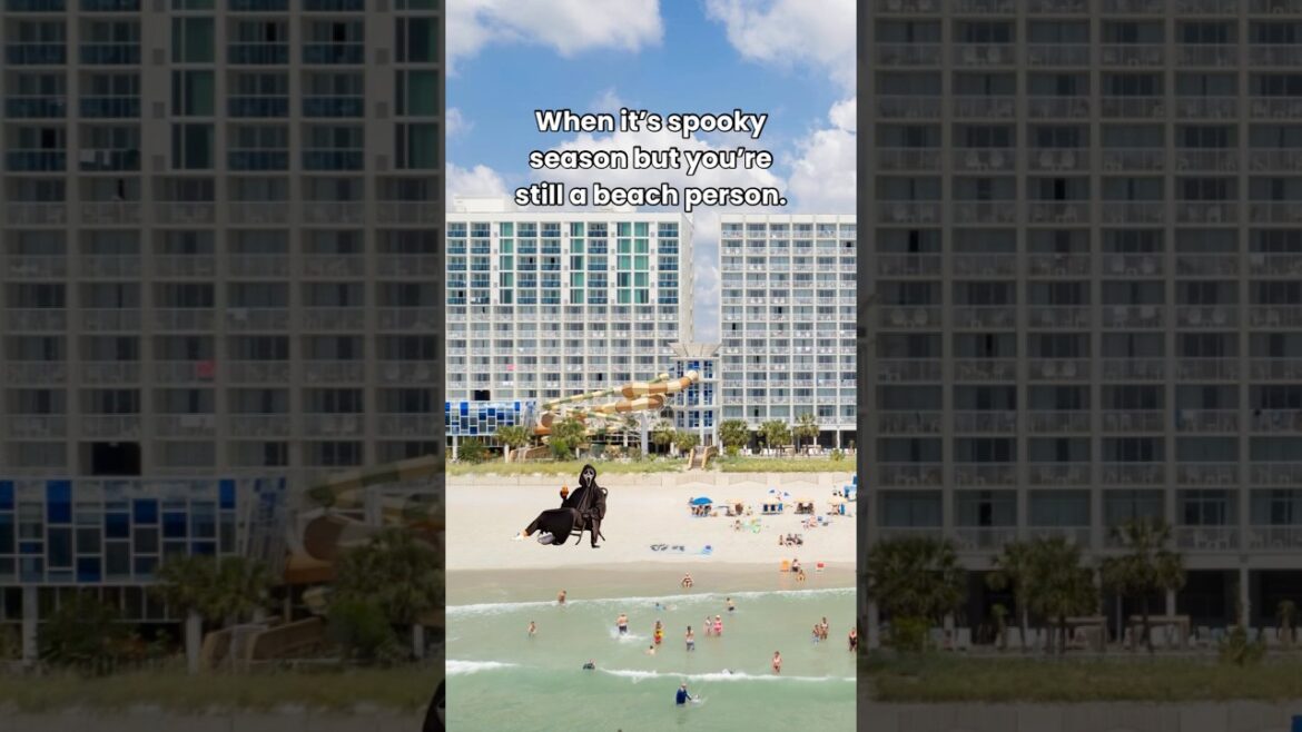 Hey, even he needs a vacation!😂🙌🌴 #shorts #beach #vacation #funny #meme #crownreefresort #comedy