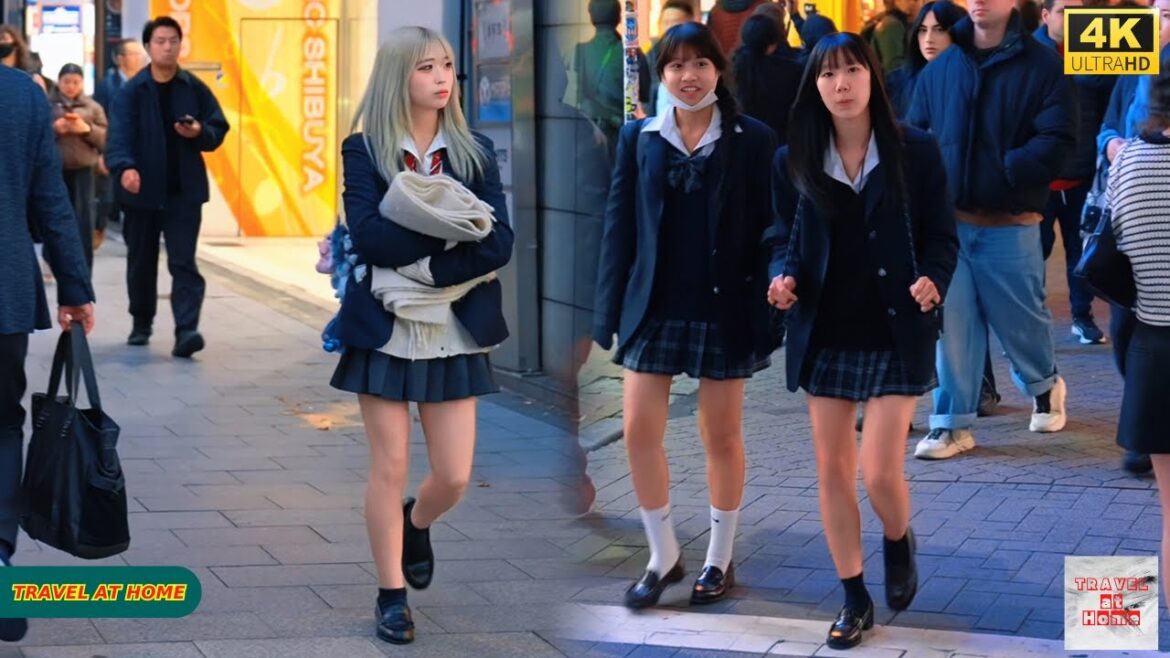 4K HDR Japan travel 2025 | Walk in Shibuya (渋谷) Tokyo Japan |Relaxing Natural City ambience 4K HDR Japan travel 2025 | Walk in Shibuya (渋谷) Tokyo Japan |Relaxing Natural City ambience