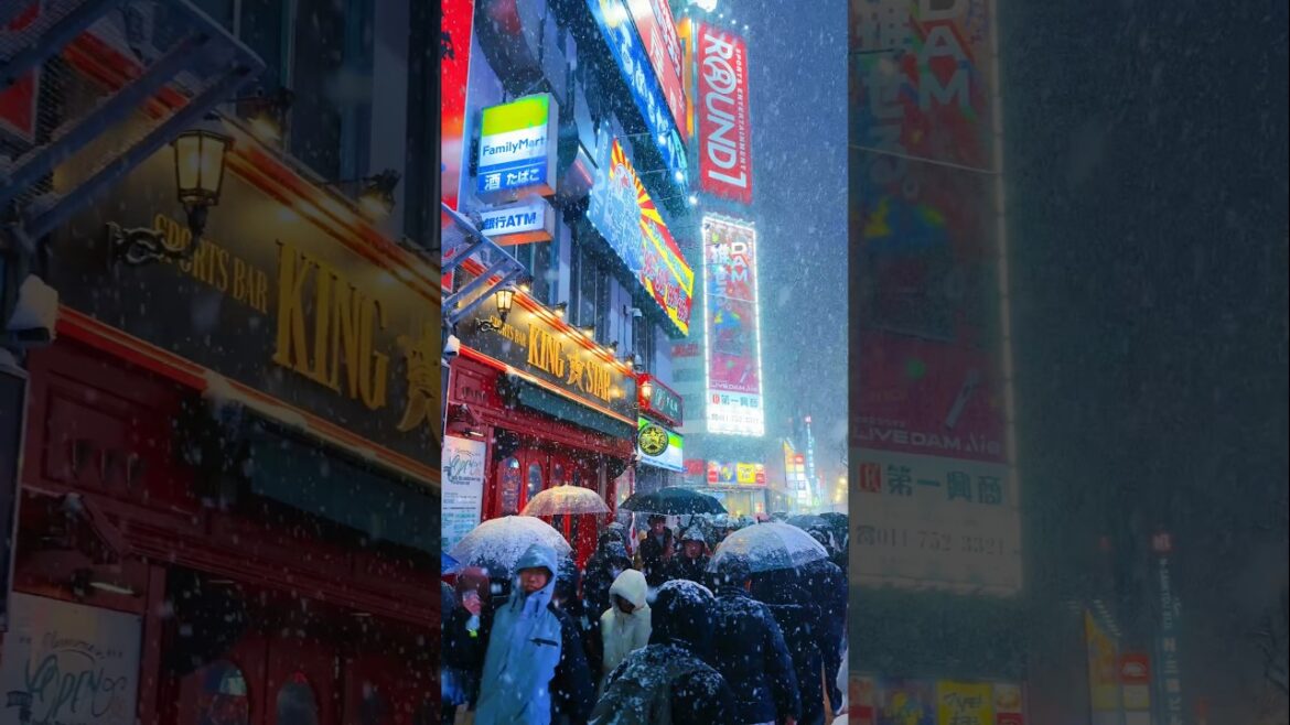 Susukino (Sapporo) / Susukino 🇯🇵 #japan #travel #shorts