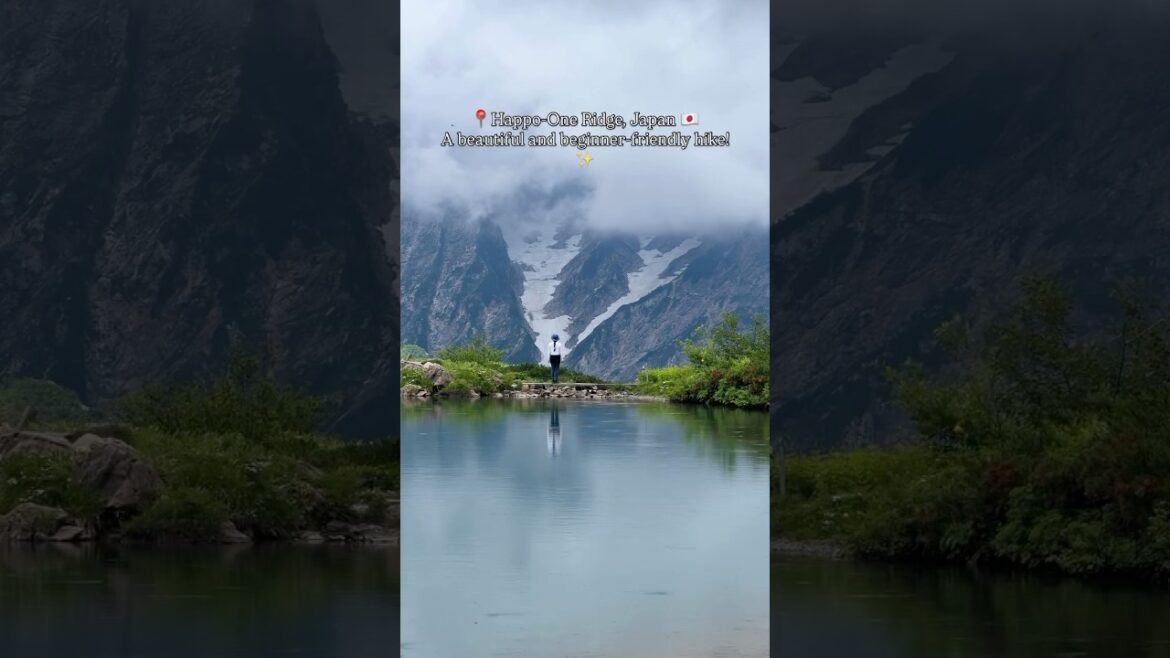 📍Hakuba 🇯🇵 Best hike for beginner 🌿 #japan #shorts #hakuba #nagano