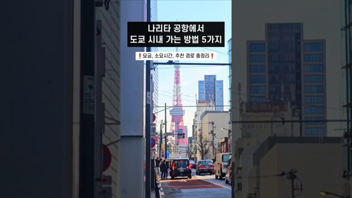 나리타 공항에서 도쿄 시내 가는 방법 5가지 총정리!⭐️ (스카이라이너, 나리타 익스프레스, 넥스) #shorts #도쿄여행 #여행꿀팁 #나리타공항