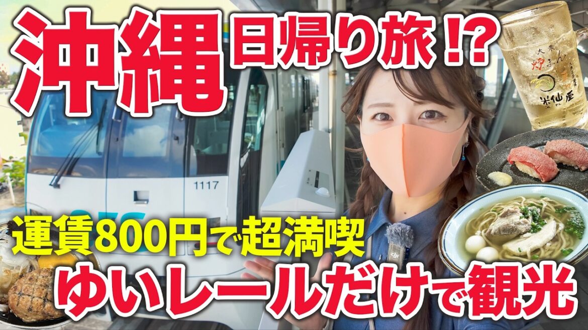 【滞在11時間】車なし日帰り沖縄🌺那覇観光!ゆいレールでどれだけ巡れる?交通費800円で大満喫‼️ 【滞在11時間】車なし日帰り沖縄🌺那覇観光!ゆいレールでどれだけ巡れる?交通費800円で大満喫‼️
