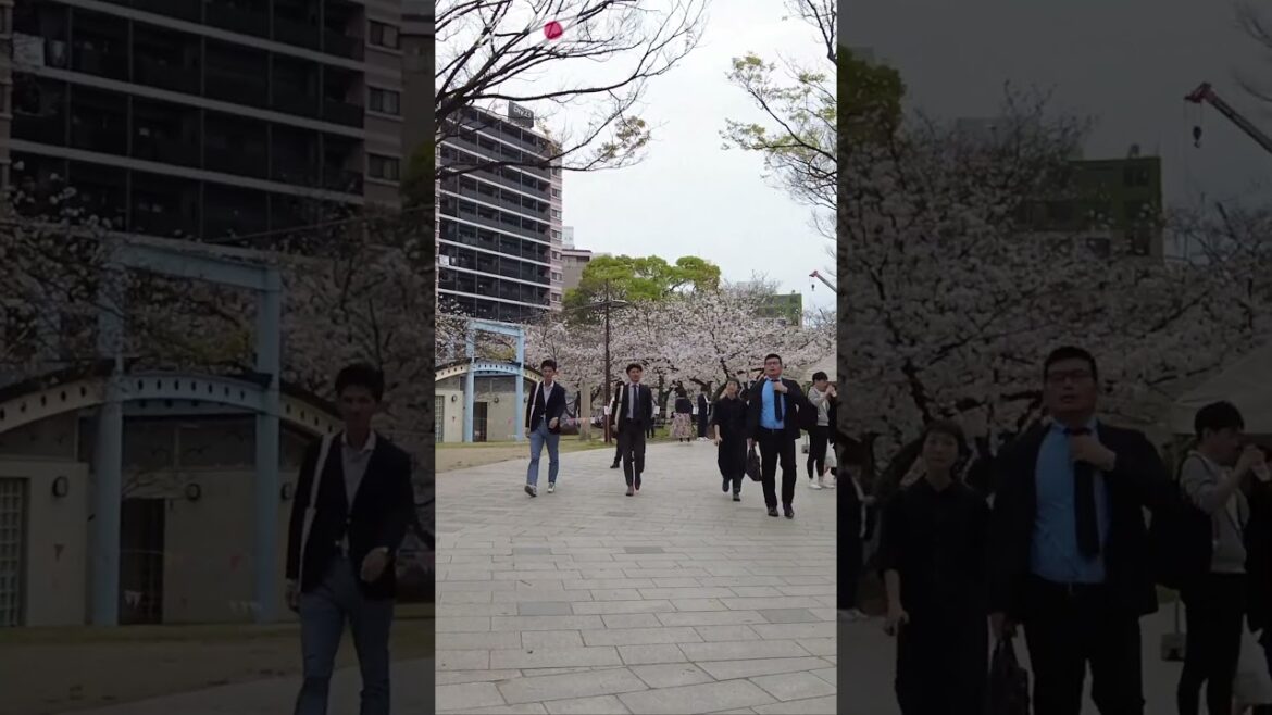 🇯🇵 Visit #Fukuoka in #Japan with us! #Shorts