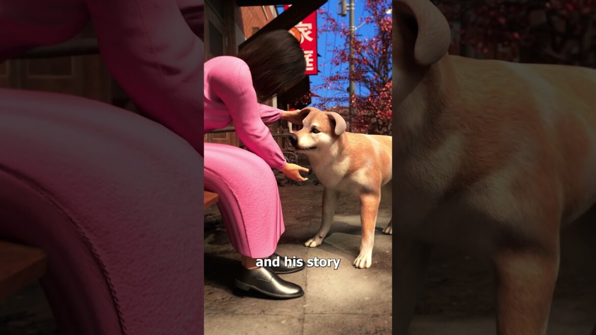 Dog Waited Ten Years For His Owner 😢