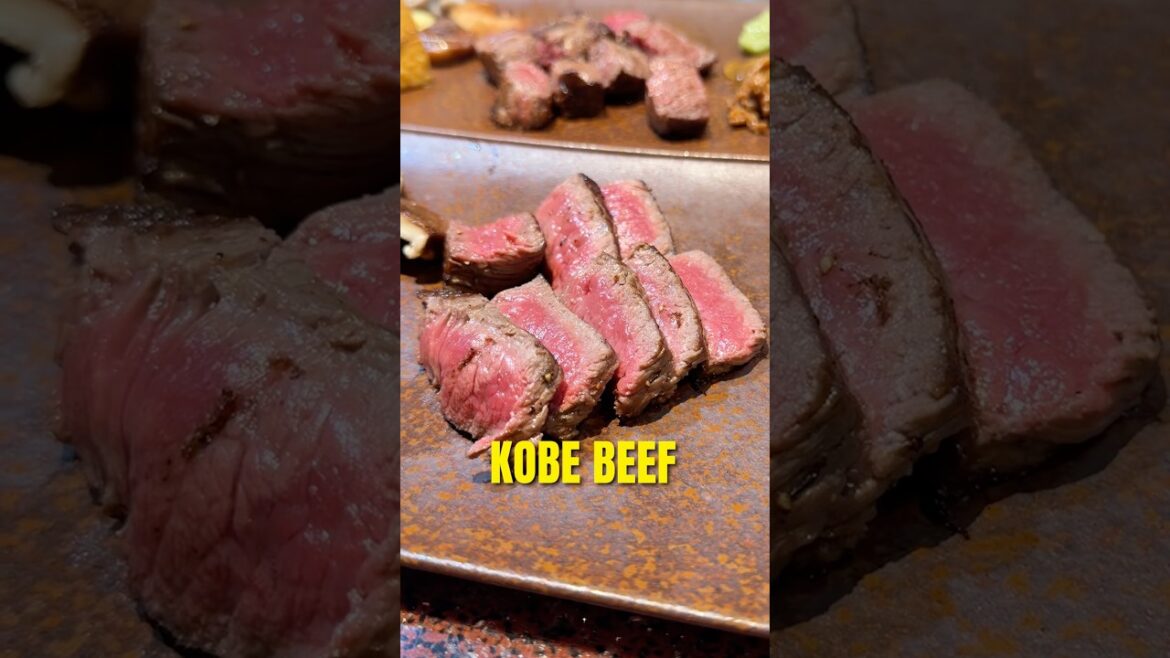 Kobe beef coruse in Kyoto for 7000JPY 🥩⛩️ #visitjapan #japantrip #japantravel Kobe beef coruse in Kyoto for 7000JPY 🥩⛩️ #visitjapan #japantrip #japantravel