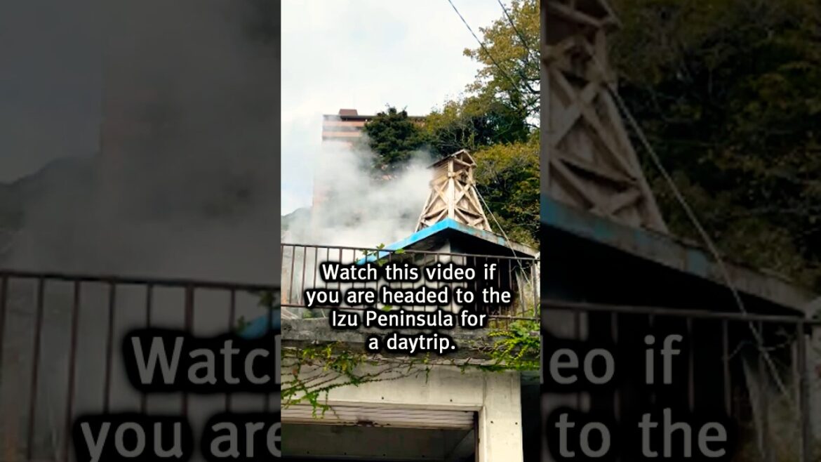 Watch this Video if You are Headed to the Izu Peninsula for a Daytrip. #tripreport #japantravel