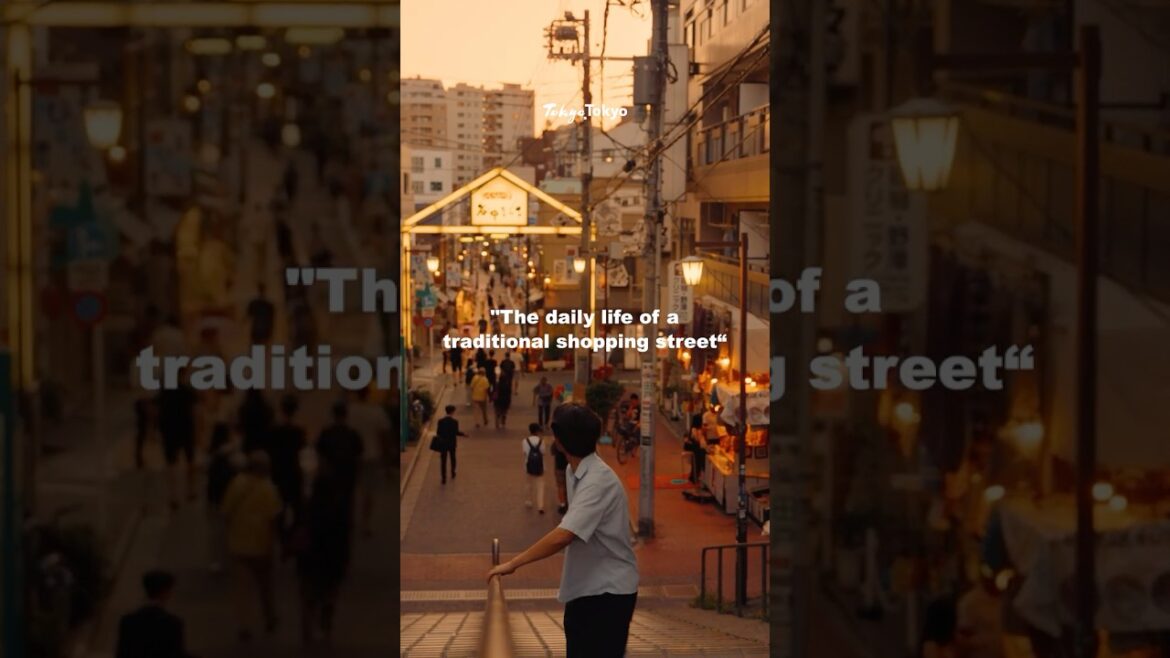 【Feel Tokyo】The daily life of a traditional shopping street.