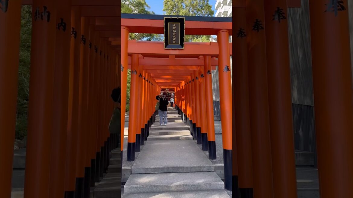 Osaka, Kyoto, Kobe in 3 days! Guess where these places are! 大阪、京都、神戸　三日間弾丸観光！