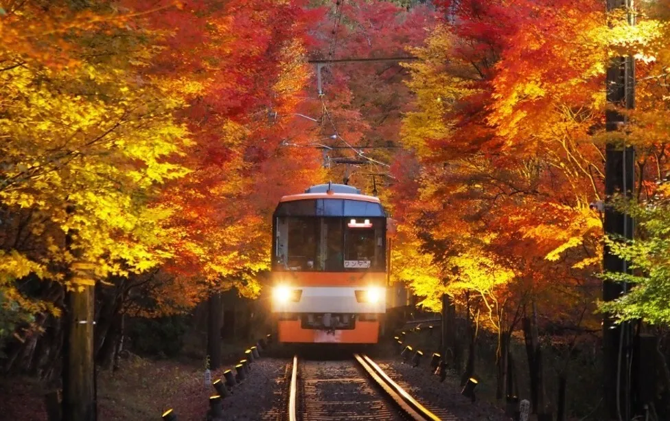 Eizan Railway – Momiji Tunnel Kyoto