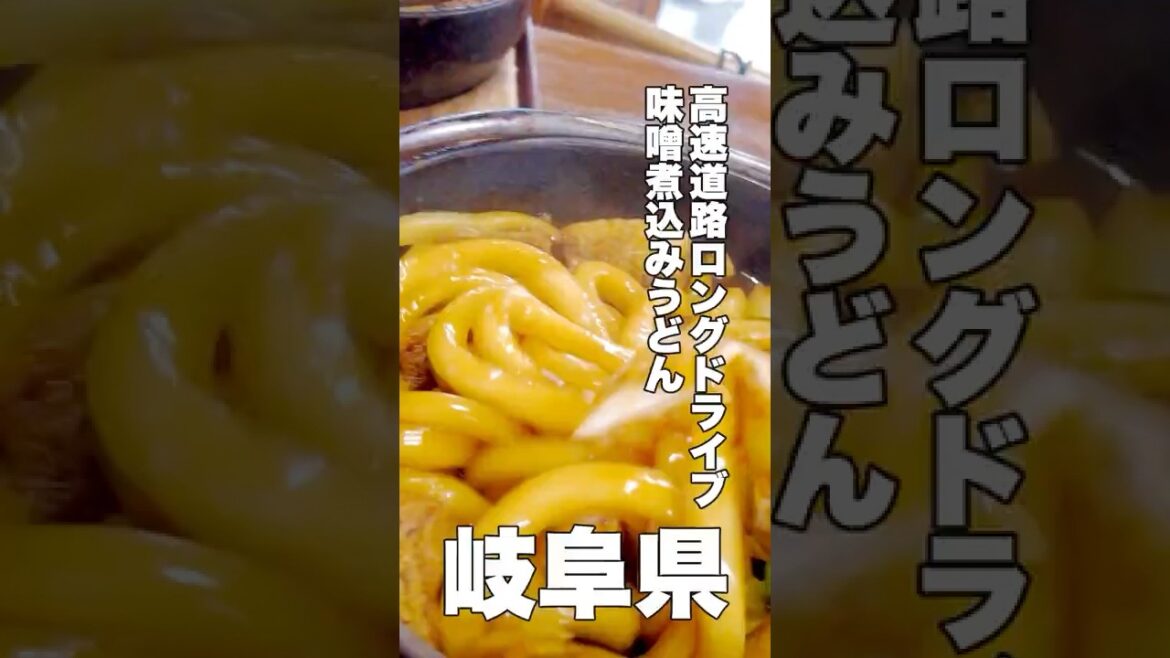 大雨の瀬戸大橋を渡る！【高知〜岐阜】高速道路ロングドライブ【旅行VLOG、レビュー】三木SAにも立ち寄ってみた！中津川の名店「たから」で味噌煮込みうどん！ #三木SA #岐阜県 #中津川市 #うどん