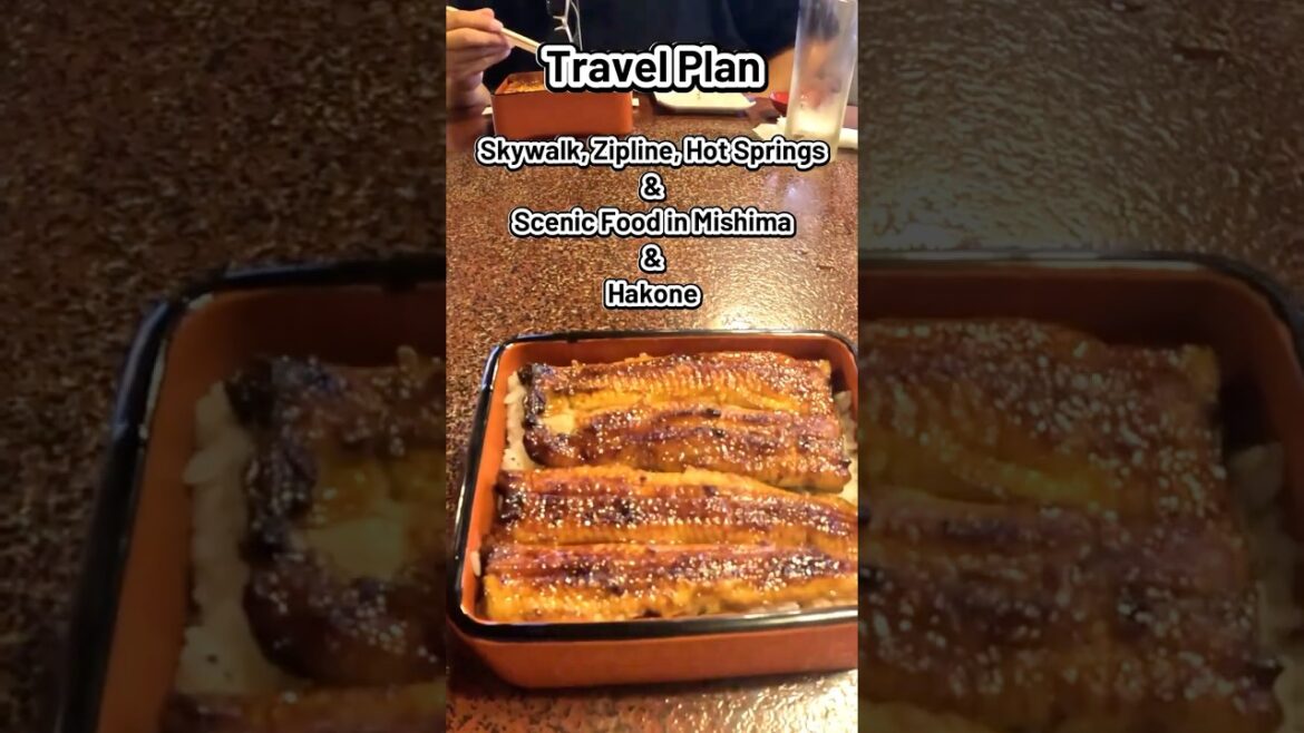 Mishima & Hakone Travel Plan | Skywalk, Zipline, Mt. Fuji Views & Hot Springs