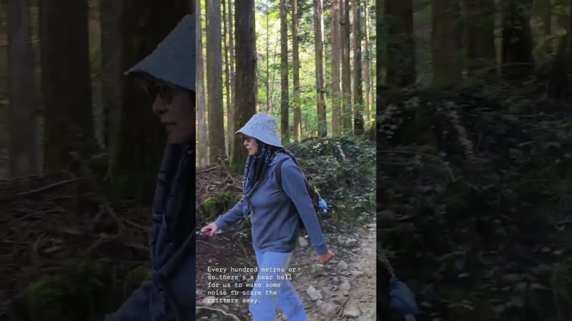 Our Nakasendo Trail Story (Magome-juku to Tsumago-juku) 🇯🇵 Japan