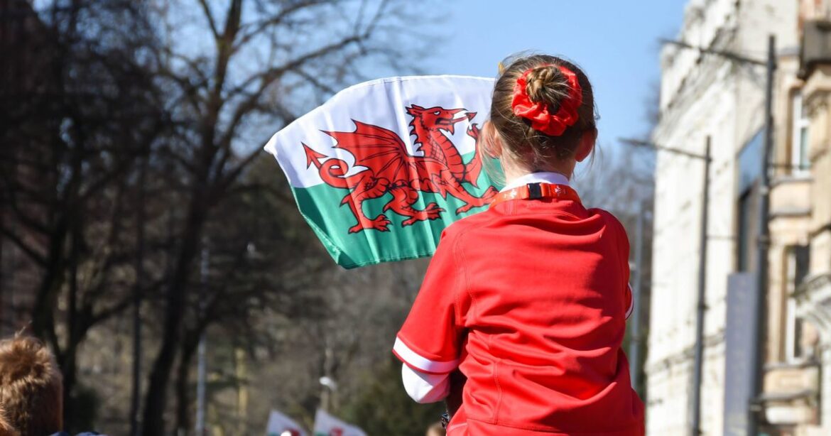 Wales v Japan road closures in Cardiff as drivers warned of disruption Wales Online