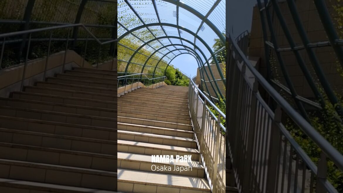 NAMBA PaRKS β Where City Meets Nature β The Most Beautiful Urban Oasis β Osaka Japan (Part-2) NAMBA PaRKS β Where City Meets Nature β The Most Beautiful Urban Oasis β Osaka Japan (Part-2)