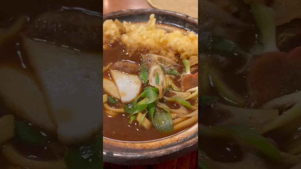JAPAN'S MUST-EAT: Miso nikomi udon, Nagoya Aichi  #japanesefood #japantravel #travel #food #foodie