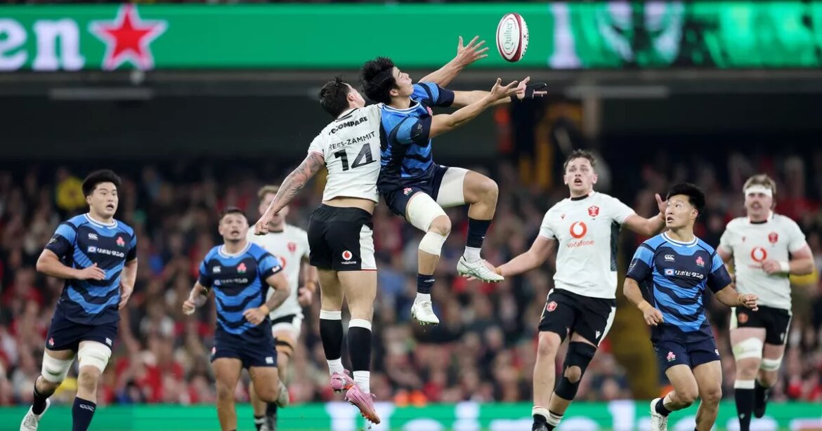What a Wales win, loss or draw v Japan means for the Rugby World Cup draw Wales Online