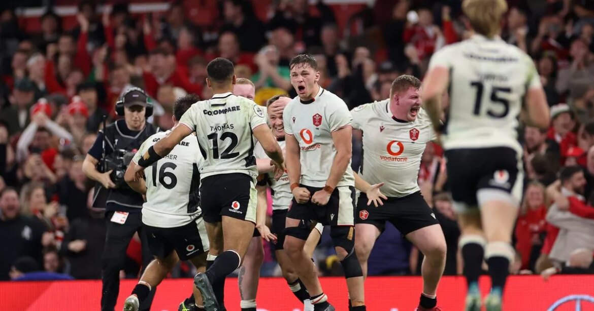 Wales player ratings vs Japan as two stand out amid some awful performances Wales Online