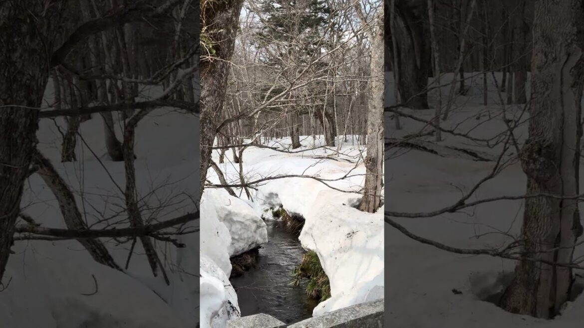 I love Nagano ❤️ #japan