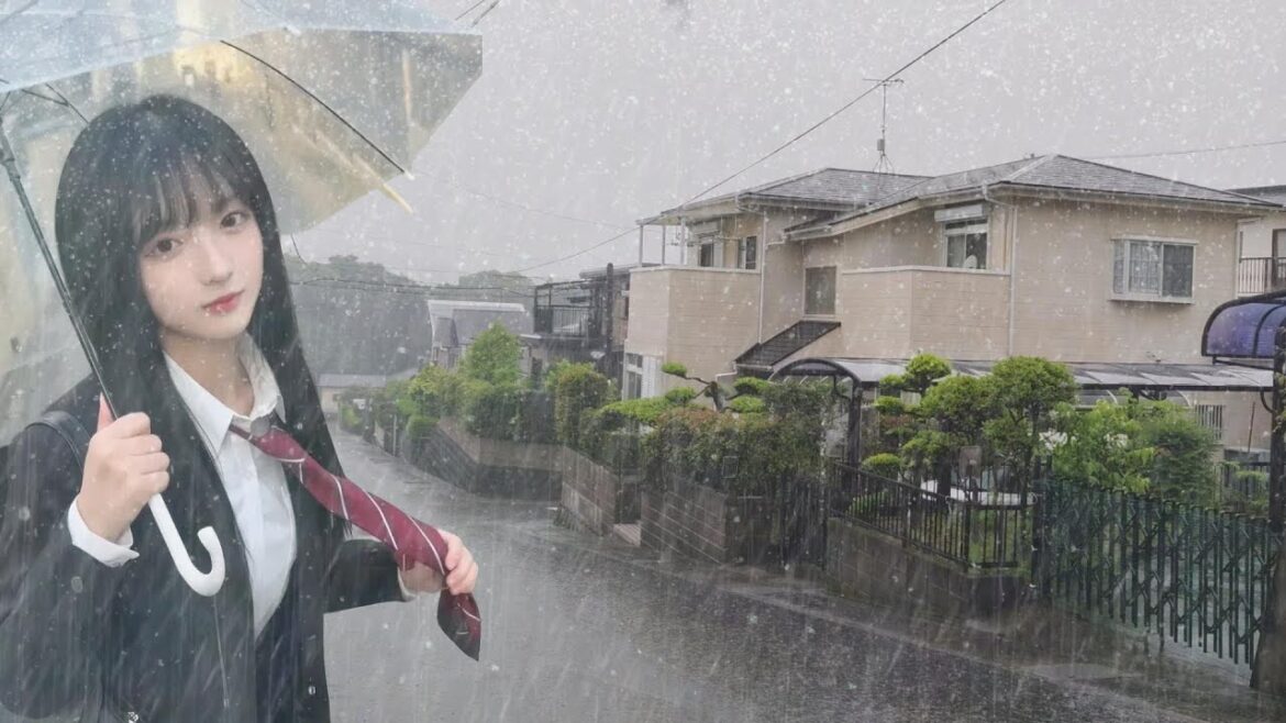 A beautiful walk on a rainy day in Kagoshima | Traveling in Japan