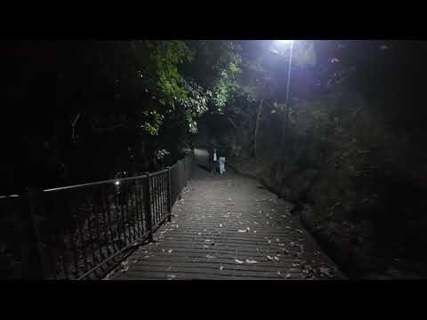 Nunobiki Herb Garden: Dusk Descent Through the Misty Forest – Kobe, November 2025 Nunobiki Herb Garden: Dusk Descent Through the Misty Forest – Kobe, November 2025