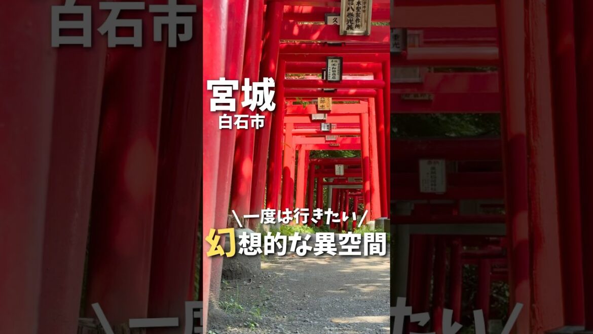 【宮城観光】ここ知ってる？100個以上の鳥居が並ぶ幻想的異世界✨#仙台観光 #仙台旅行 #宮城観光 #宮城旅行 #神社 #稲荷神社 #白石市 #japan #japantravel #shorts