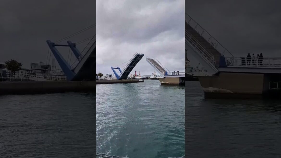 Japan's Amazing Bridge That SPLITS in Half! 🤯 #bridge #japan
