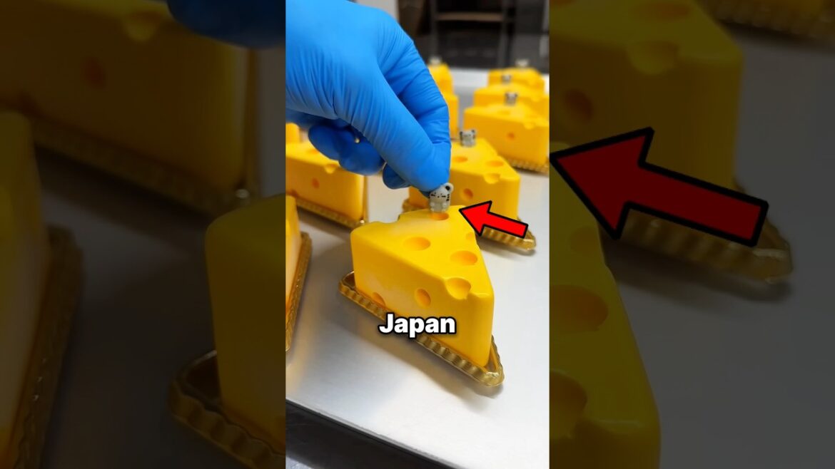 3 Things in Japan and Korea that make sense! 🇯🇵🇰🇷 #shorts 3 Things in Japan and Korea that make sense! 🇯🇵🇰🇷 #shorts