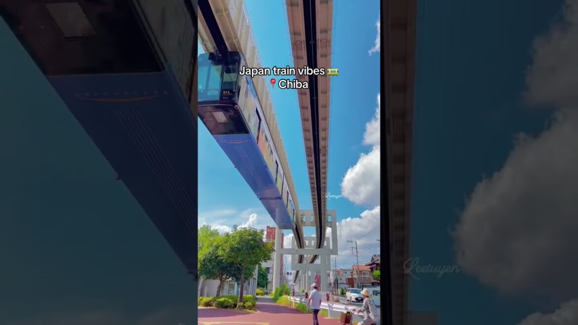 This is why you need to visit the Japan🇯🇵