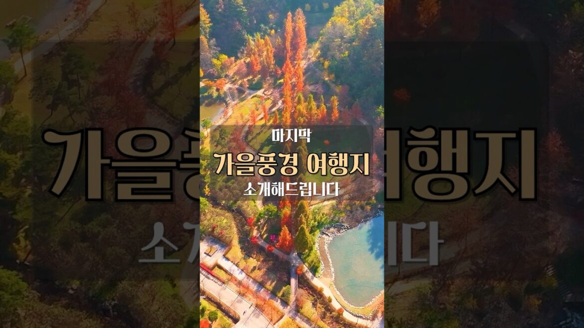 마지막 가을 여행 추천 BEST #국내여행 #여행추천