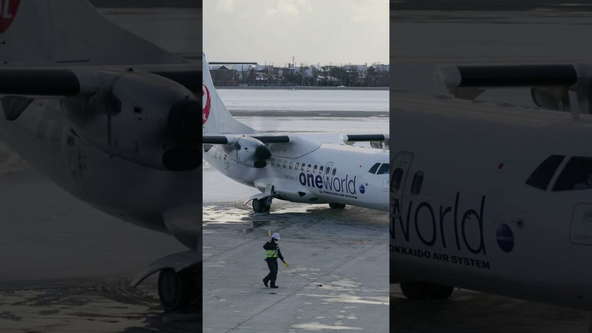 Fly Deep Hokkaido with the JAL Group #ExploreHokkaido