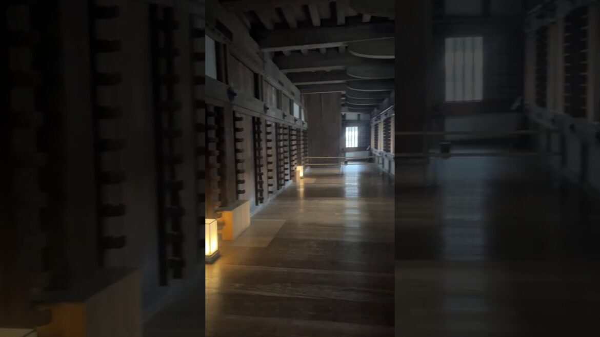 Himeji Castle (Inside) – #shorts #travel #japan #himejicastle #himeji #japanesecastle #castle Himeji Castle (Inside) - #shorts #travel #japan #himejicastle #himeji #japanesecastle #castle