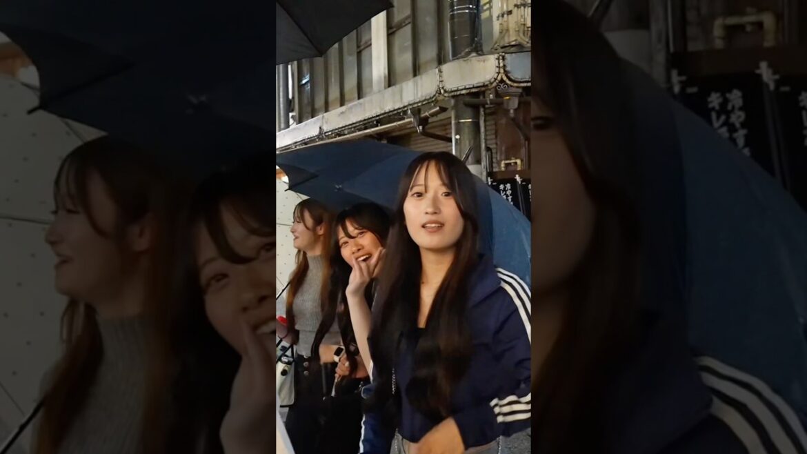 A cute encounter while streaming in Japan’s Gifu City