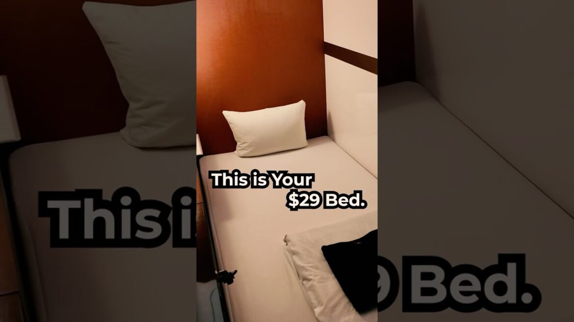 Watch This Before You Book a Hotel in Okinawa! #travel #okinawatrip #okinawa #okinawavlog Watch This Before You Book a Hotel in Okinawa! #travel #okinawatrip #okinawa #okinawavlog