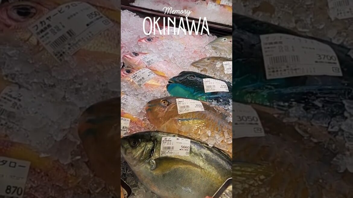 OKINAWA Itoman City Market #travel #traveltok #travellife #beach #adventure #beautifuldestinations