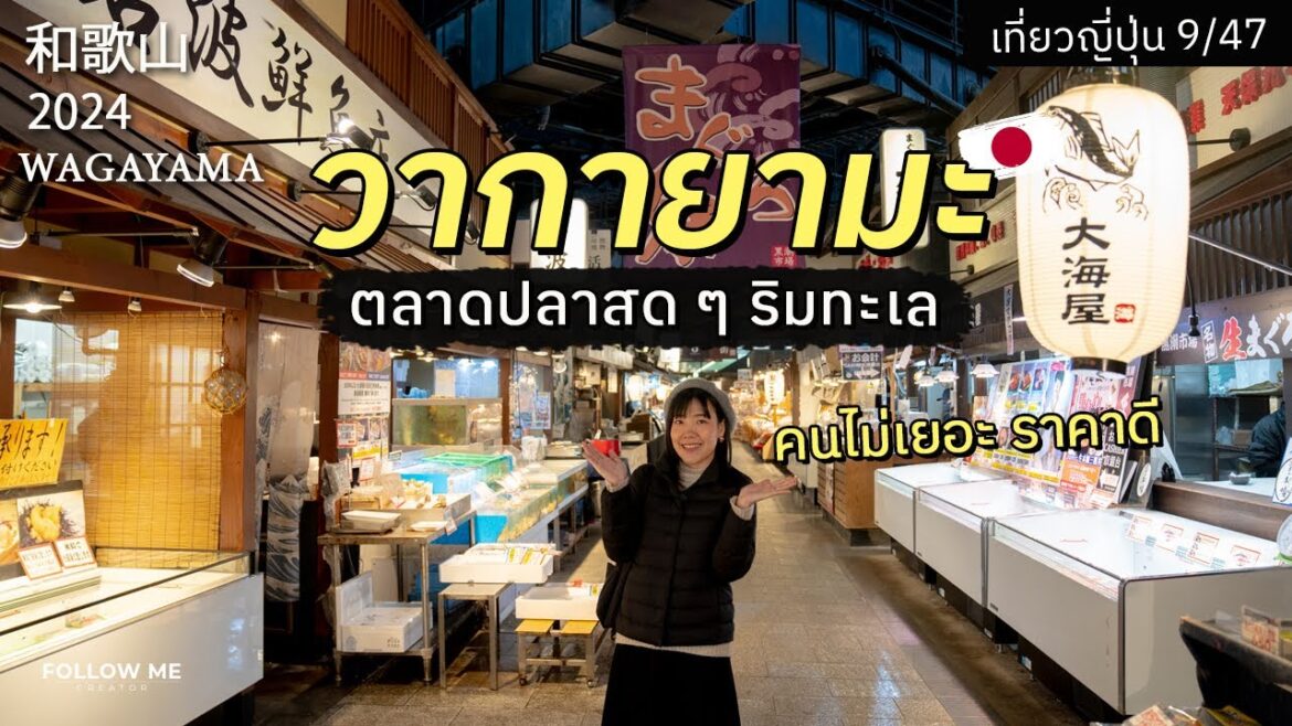 วากายามะ 1 ชั่วโมงจากโอซาก้า เที่ยวตลาดปลาริมทะเล | เที่ยวญี่ปุ่นจังหวัดที่ 9/47 | FOLLOW ME Japan