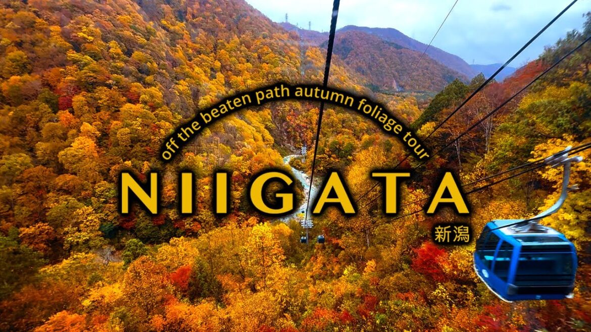 Autumn Foliage in Naeba Niigata Japan: 2-Day Bus Tour 3.5 Hrs from Tokyo, Gondola | ASMR Silent Vlog Autumn Foliage in Naeba Niigata Japan: 2-Day Bus Tour 3.5 Hrs from Tokyo, Gondola | ASMR Silent Vlog