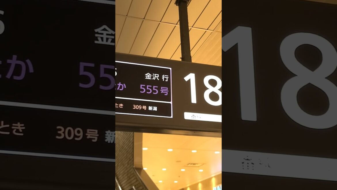 Everything Counts: Bullet Train to Gunma @jonheroxo