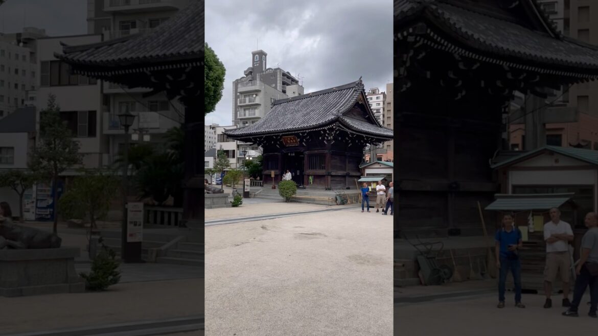 Travel Vlog Exploring Kushida Shrine and Hakata’s Bustling Streets in Fukuoka