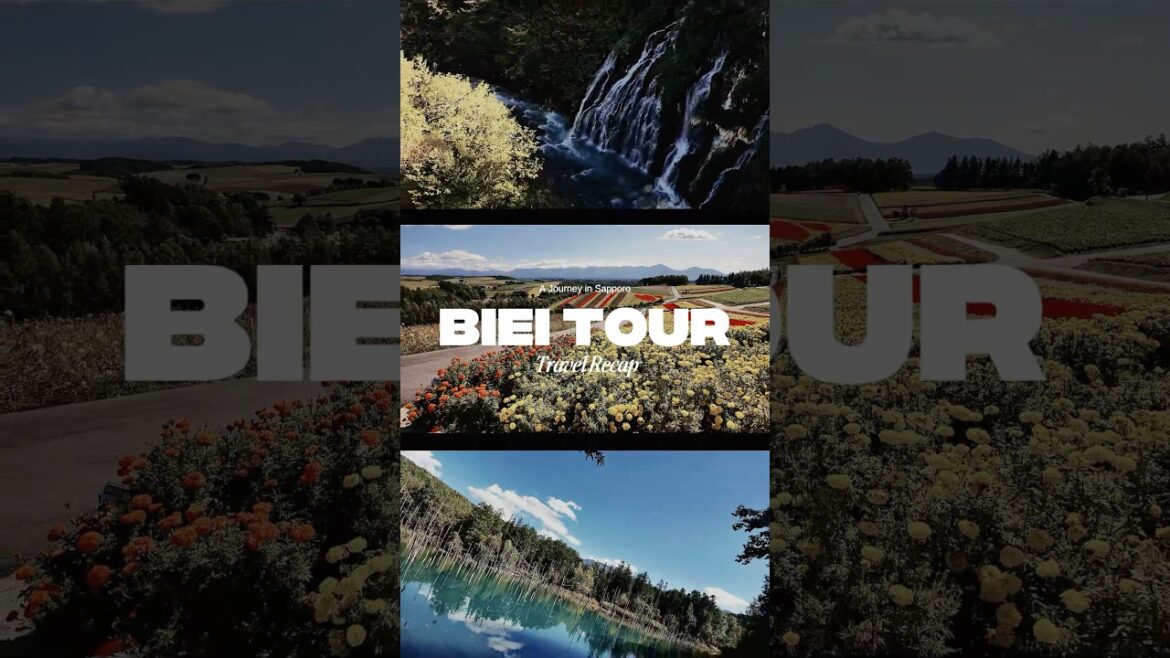 삿포로 비에이 후라노 버스투어 후기｜사계채 언덕·준페이·청의호수 하루 코스 ✨