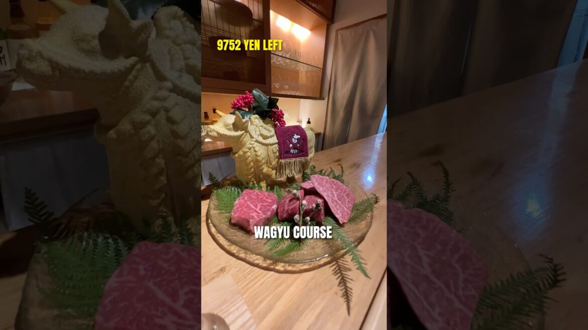 Wagyu dinner in Osaka for just 8,800 yen🥩 #visitjapan #japantravel #japantrip