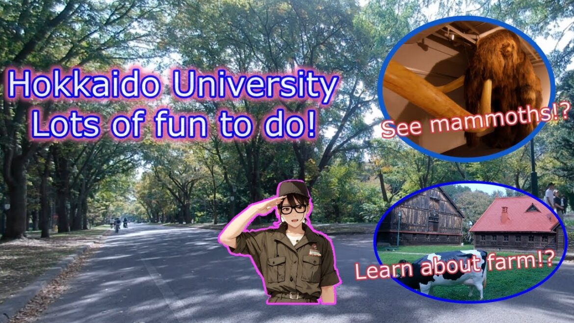 Hokkaido University day tour,no entrance fee #hokkaido #hokudai Hokkaido University day tour,no entrance fee #hokkaido #hokudai