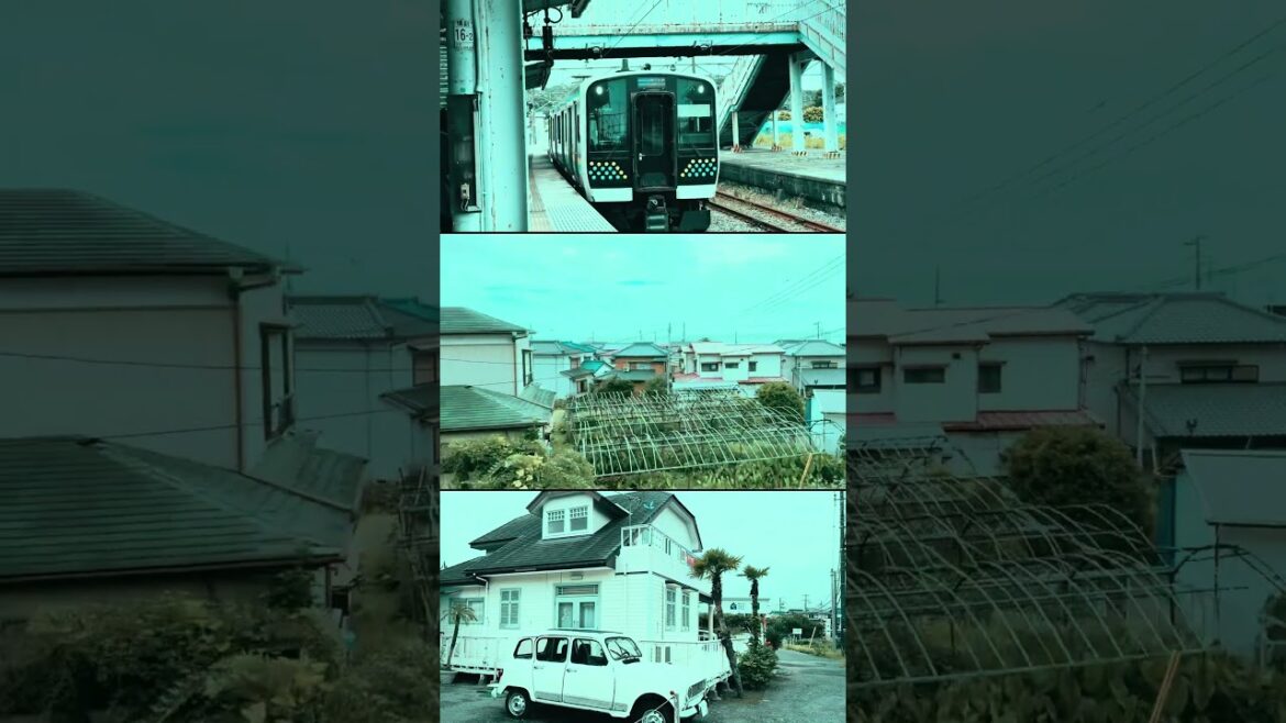 Japón entre sus hermosas playas en la prefectura de Chiba #japan #chiba
