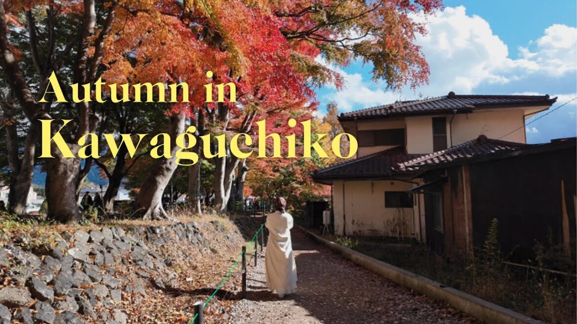Kawaguchiko Fall Guide: Top 3 Places to See Autumn Leaves & Mt. Fuji