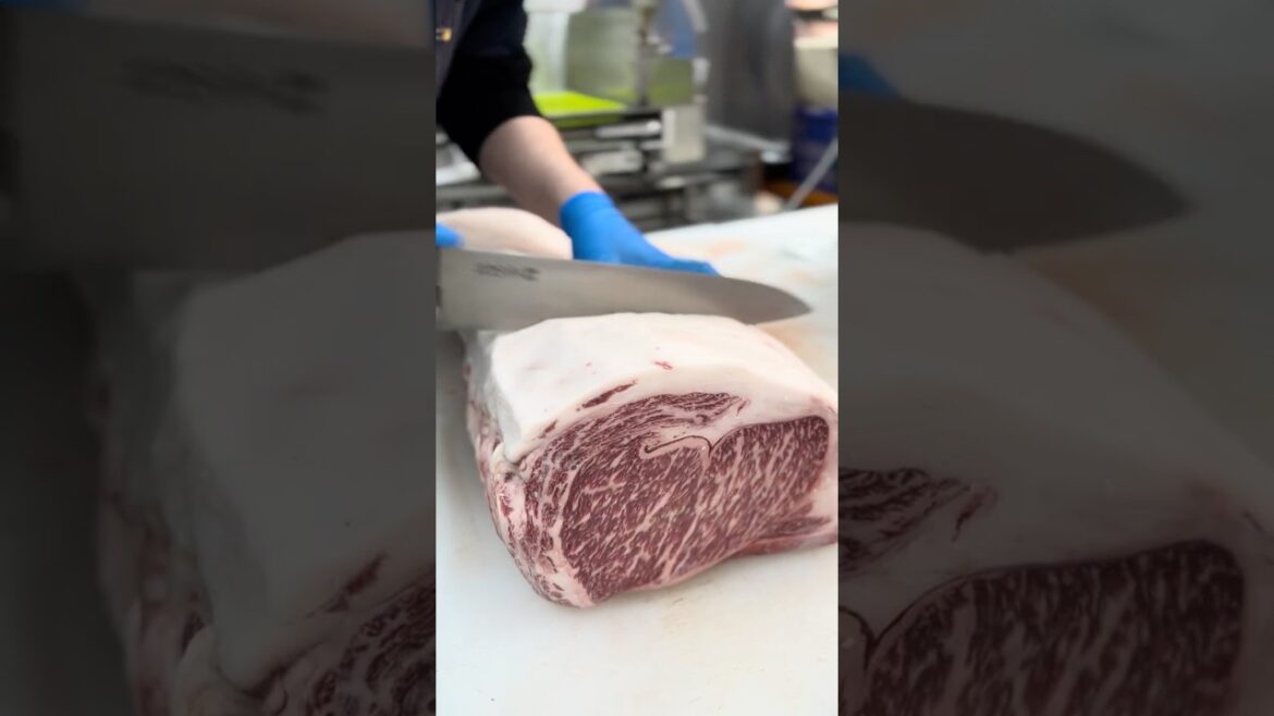 WAGYU IN JAPAN | 300 Brands, 40,000 Producers 🇯🇵🥩