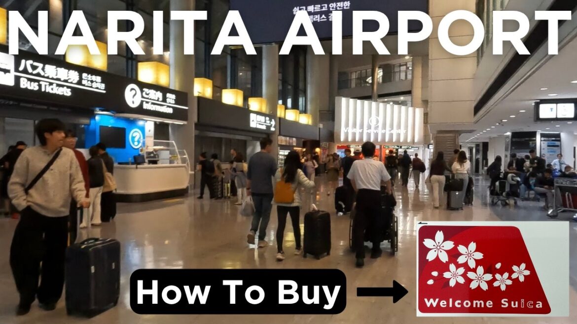 How to Buy A Welcome Suica Card at Narita Airport Tokyo 🇯🇵